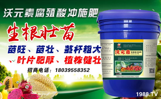 【沃爾頓農(nóng)業(yè)】祝大家在新的一年里新春大吉、萬(wàn)事如意!