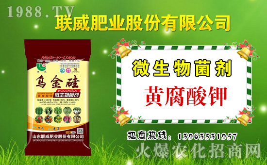 【聯(lián)威肥業(yè)】祝大家在新的一年里工作順利,步步高升!