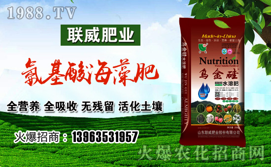 【聯(lián)威肥業(yè)】祝大家在新的一年里工作順利,步步高升!
