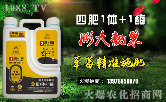 【新啟力】祝福一路相伴的朋友們?cè)谛碌囊荒昀镄腋C罎M,闔家歡樂(lè)!