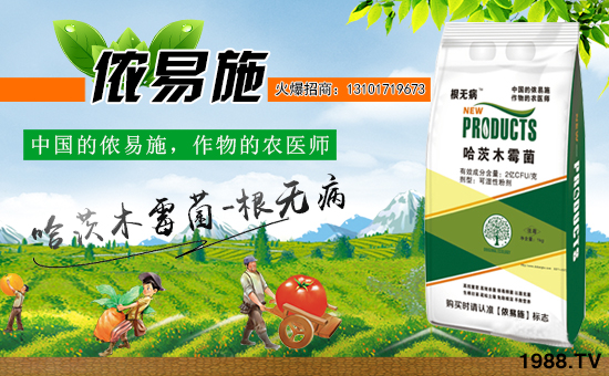 【中國·儂易施】全體員工恭祝廣大合作客戶新年快樂,萬事如意!