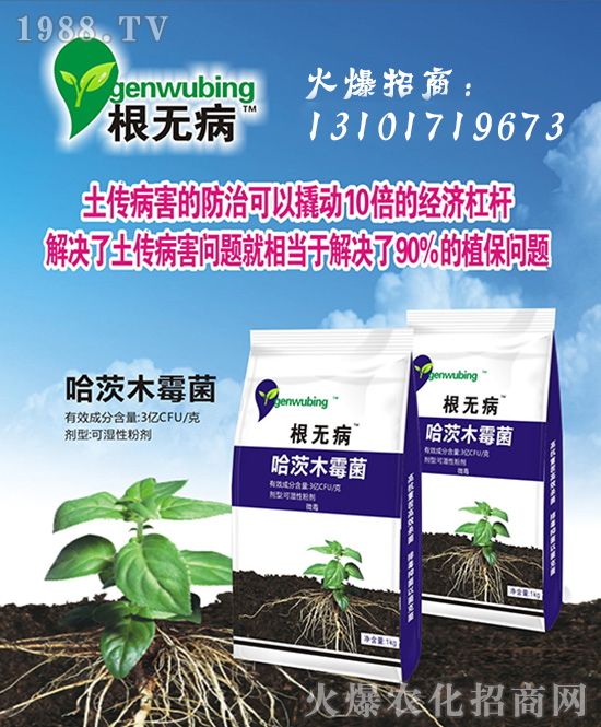 【中國·儂易施】全體員工恭祝廣大合作客戶新年快樂,萬事如意!