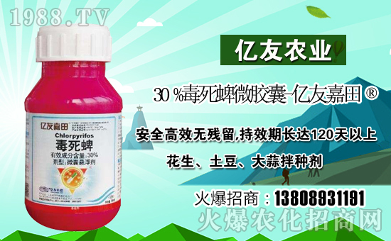 【濟(jì)南億友農(nóng)業(yè)】祝全國(guó)朋友在新的一年里幸福美滿,闔家歡樂!