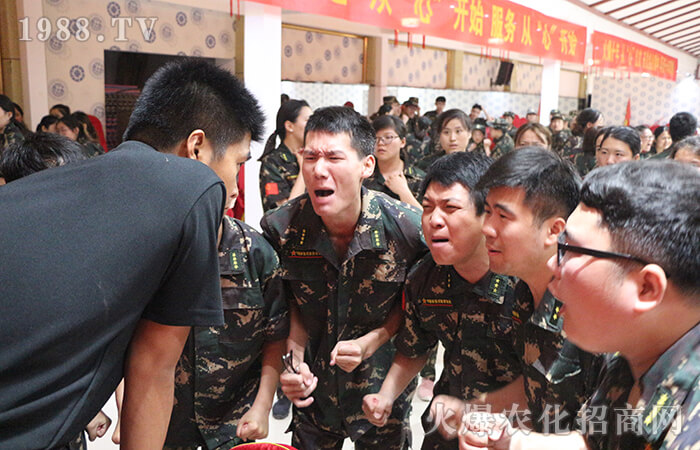 ǰʮ�꣬��ʮ�����𱬍��V�q��