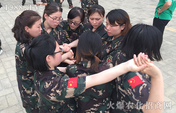 十年磨礪創(chuàng)佳績(jī) 使命必達(dá)為初心