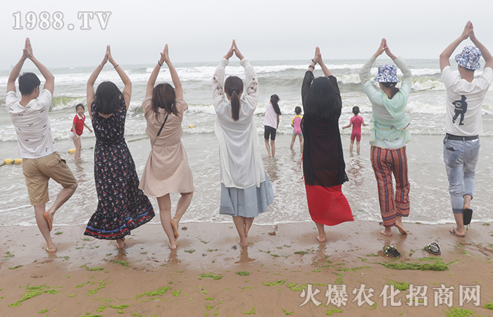 紅瓦綠樹(shù)、碧海藍(lán)天,擁抱大海,放飛心情!
