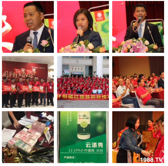tƻףٸRT´