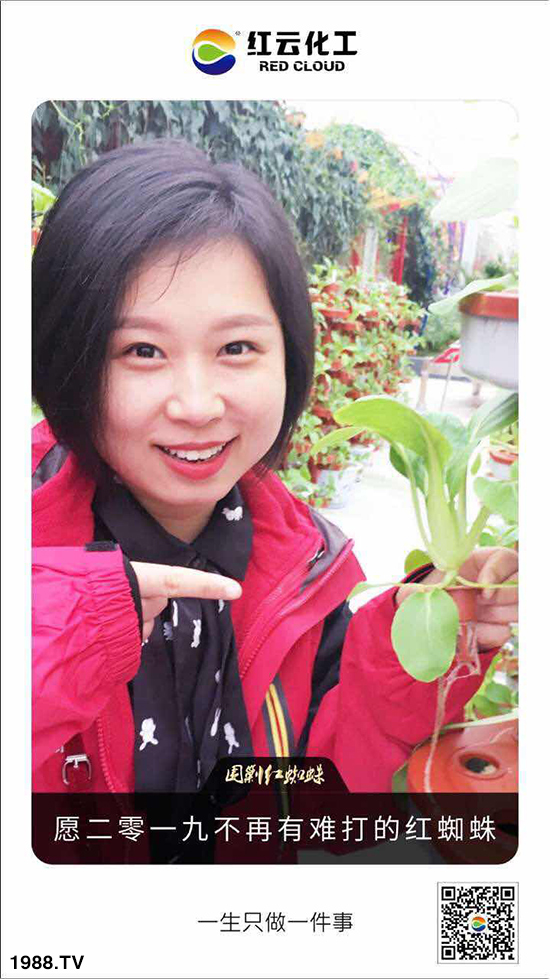 tƻףٸRT࣬´
