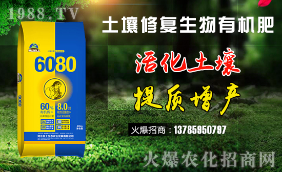 土壤修復(fù)生物有機肥-6080-冀益良土