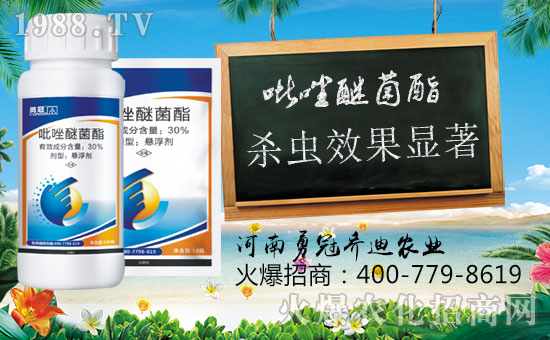 【勇冠喬迪】祝您新年快樂,財運(yùn)亨通!