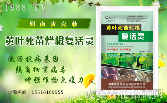 【麥克菲農(nóng)業(yè)】祝全國(guó)經(jīng)銷商身體健康,萬(wàn)事如意!