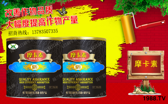 【強(qiáng)芯國(guó)際】祝大家在新的一年里身體健康,工作順利!