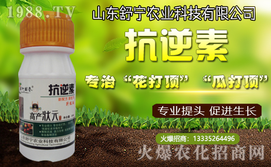 【舒寧農業(yè)】所有新老客戶新春快樂,福壽安康!
