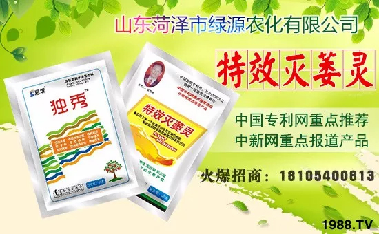 在此新年來臨之際,山東菏澤市綠源農(nóng)化有限公司全體員工祝您:歡歡喜喜迎豬年,萬事如意平安年,揚(yáng)眉吐氣順心年,事業(yè)成功輝煌年,合家歡樂幸福年,身體健康萬萬年。!