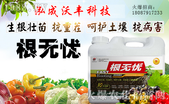【泓成沃豐】祝全國(guó)經(jīng)銷(xiāo)商身體健康,豬年吉祥!