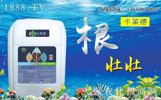 【卡萊德農(nóng)業(yè)】全體員工恭祝全國(guó)經(jīng)銷商身體健康,萬事如意!