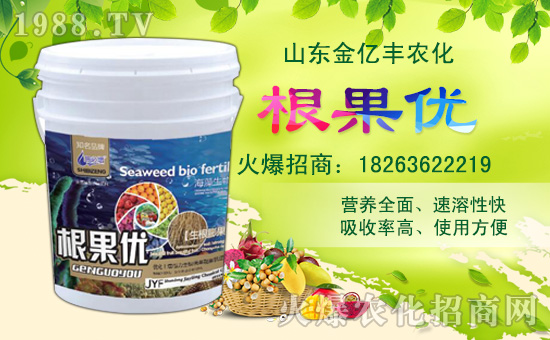 【金億豐】祝全國朋友,新年快樂,豬年大吉,身體健康,財源廣進(jìn)