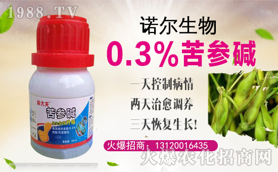 【諾爾生物】全體員工恭祝全國經(jīng)銷商身體健康,豬年吉祥!