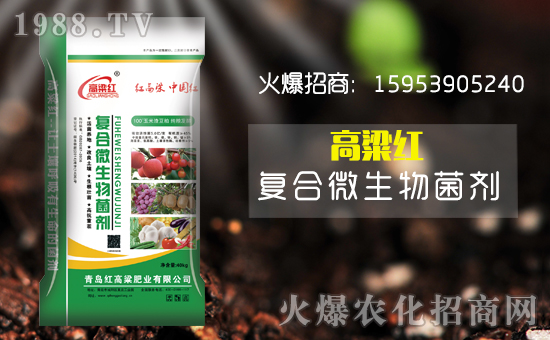 【青島紅高粱】祝大家在新的一年里財(cái)源滾滾來!
