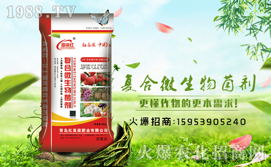 【青島紅高粱】祝大家在新的一年里財(cái)源滾滾來!