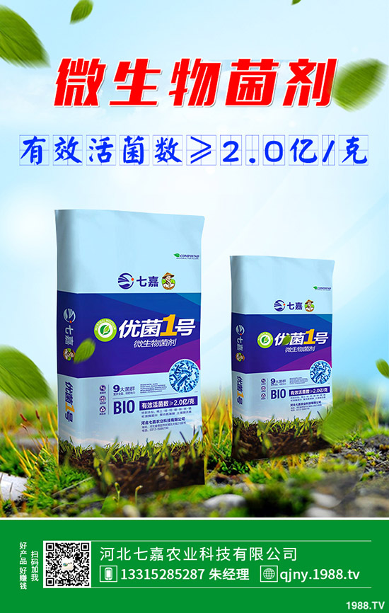 荷蘭豆什么時(shí)候種植好,荷蘭豆種植技術(shù)!