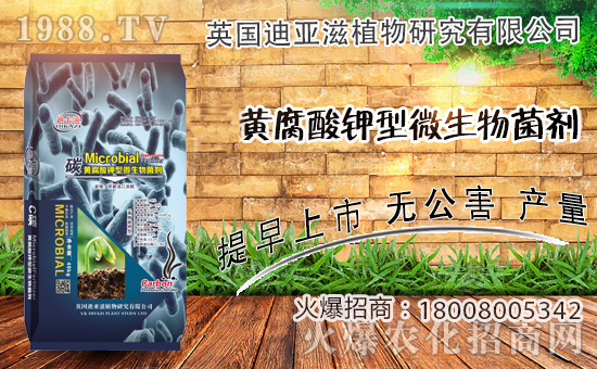農化網喜迎新盟友,英國迪亞滋攜手1988.TV,開拓網絡招商新渠道!