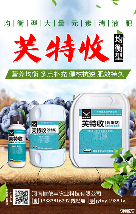 陽臺上能種植上海青嗎？該注意什么？陽臺上種植上海青的注意事項