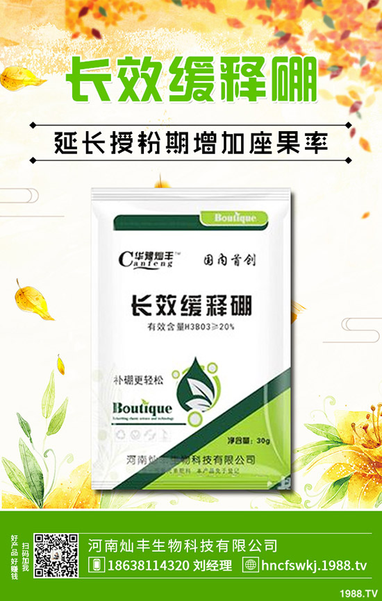 金錢草和銅錢草有什么不同？金錢草和銅錢草的區(qū)別哪些？