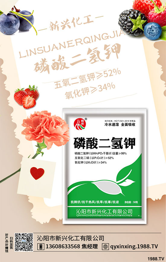 ���[�B��Σ����������ԓ��ν�Q�����[�B���ϵK���߮a(ch��n)�������g(sh��)��