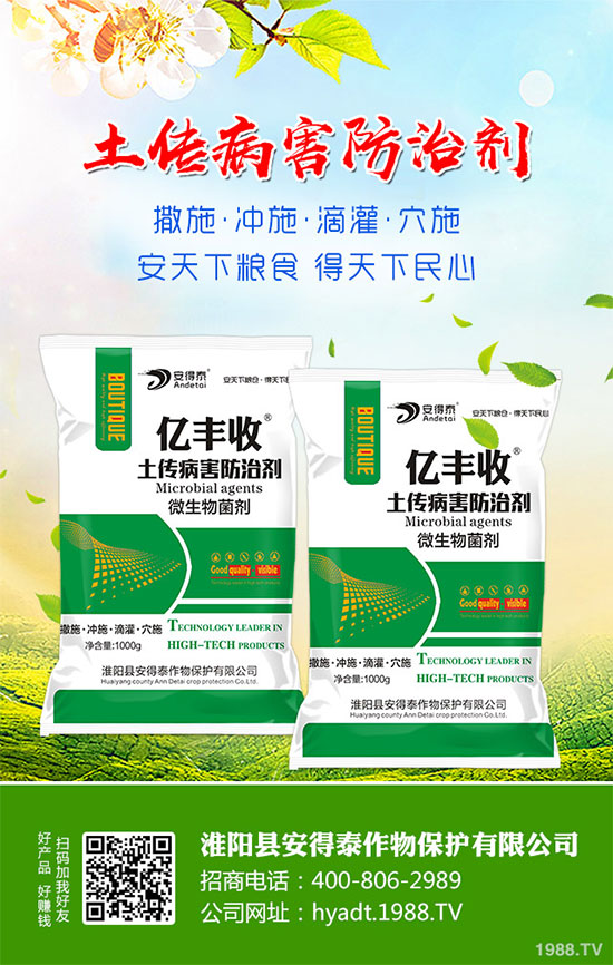 白蘿卜的功效與作用，白蘿卜營養(yǎng)價(jià)值！