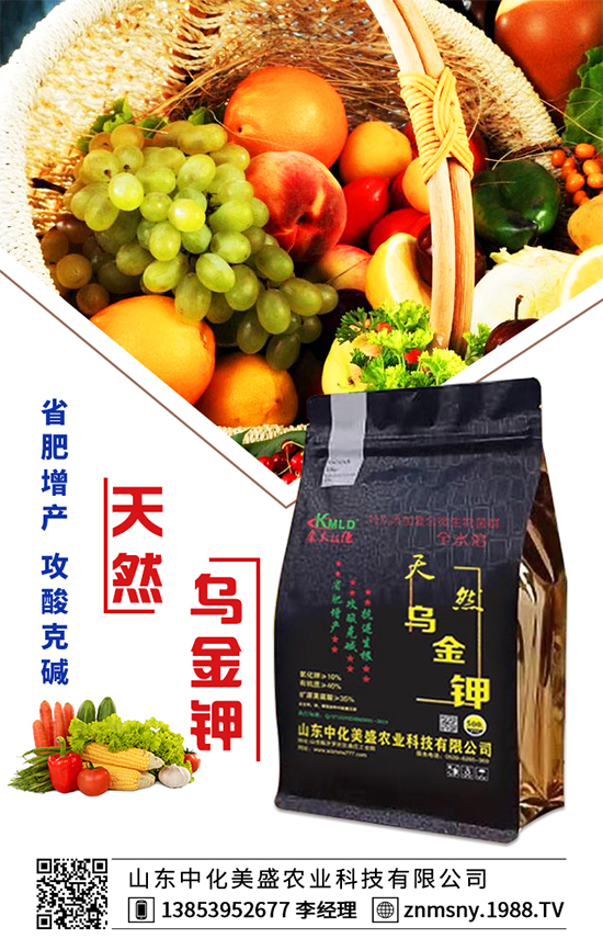 芹菜為什么會出現(xiàn)空心?芹菜空心的防治措施!