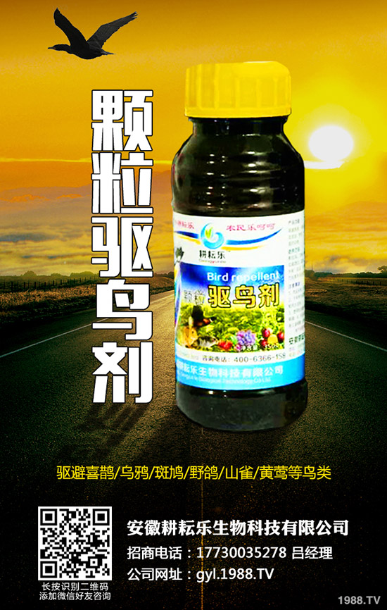 醚菊酯如何選購?醚菊酯的購買依據(jù)及購買技巧!