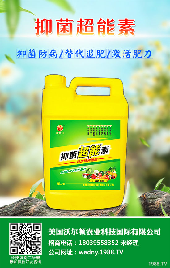 小白菜遇到白斑病該怎么辦？白菜白斑病防治措施