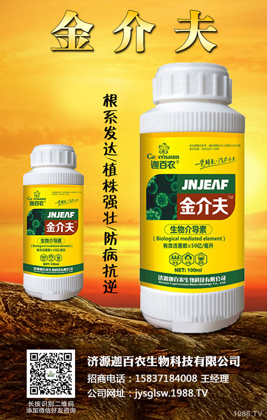 ���������o��������ô�k�������o���������\���c������