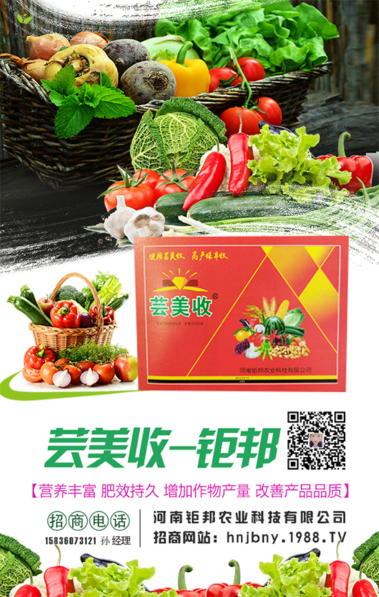 �����}�����L(zh��ng)��(du��)�h(hu��n)���l��Ҫ���������}����ôʩ�ʣ�