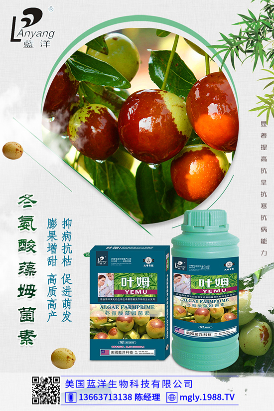 �ײ�ܛ�������������ģ�����ЩΣ�����ײ�ܛ�����İl(f��)���c����