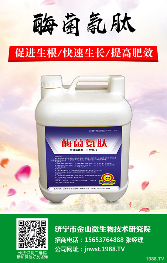 天冬怎樣種植，天冬高產(chǎn)管理技術(shù)！