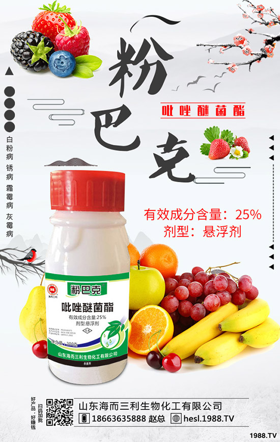 2020年蘆筍種植前景怎么樣?蘆筍如何種植?