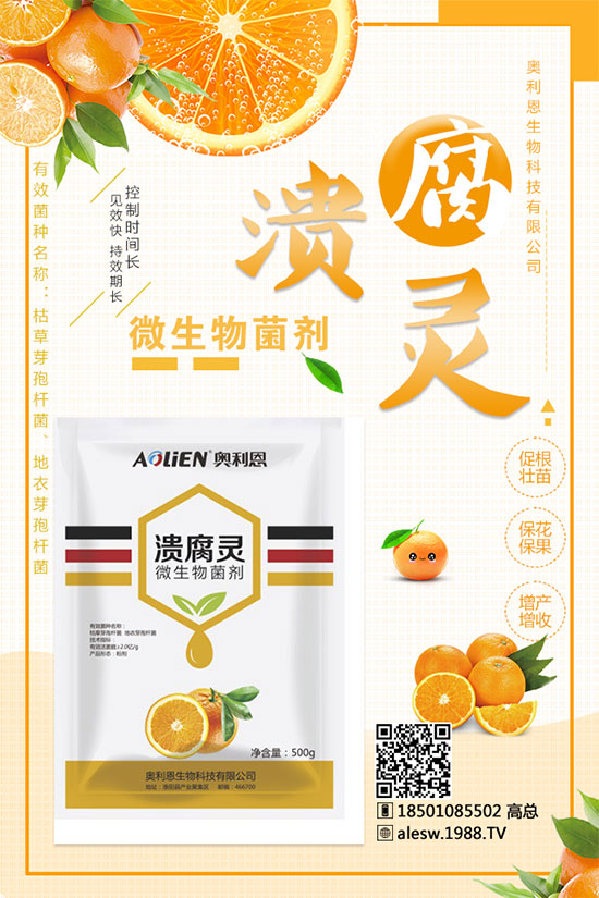 甘蔗什么時候種？甘蔗種植技術(shù)及種植條件