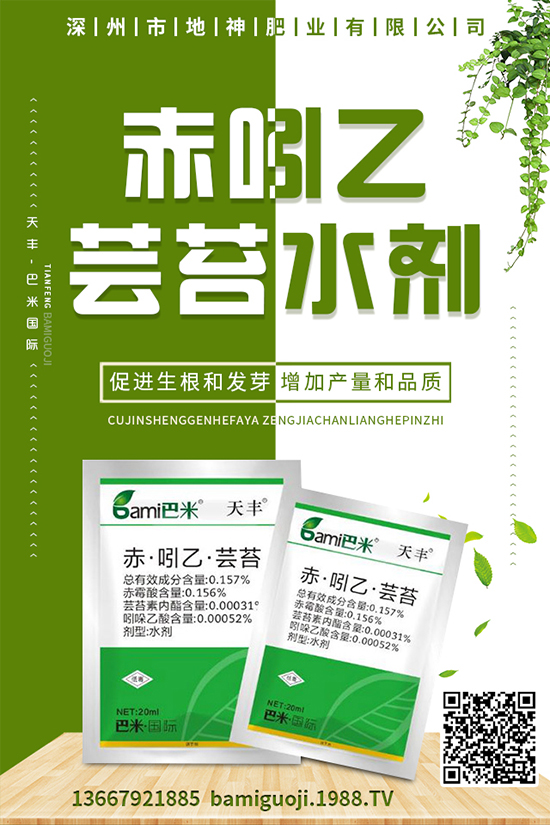 雞蛋果怎樣種植？雞蛋果種植技術及注意事項！