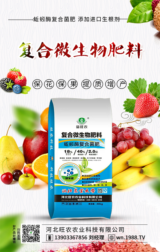 芥菜種子怎么播種？ 芥菜的種植方法！