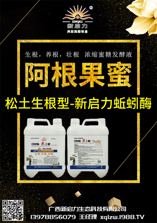 ���{(l��n)��Ä������ЩΣ��������{(l��n)�����İl(f��)���c���μ���