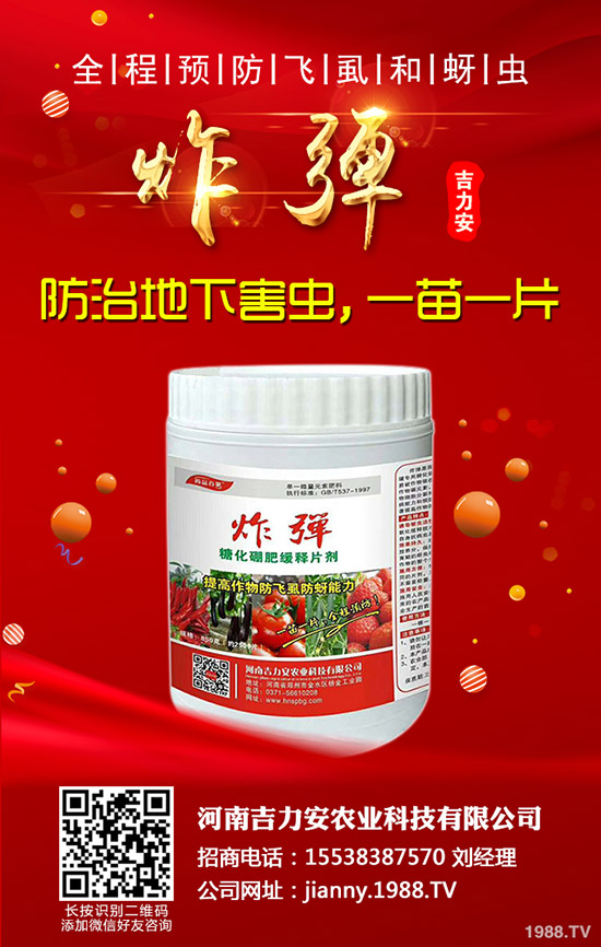 �۲˵Ĺ�Ч�c��������Щ�˲��ܳ��۲ˣ�