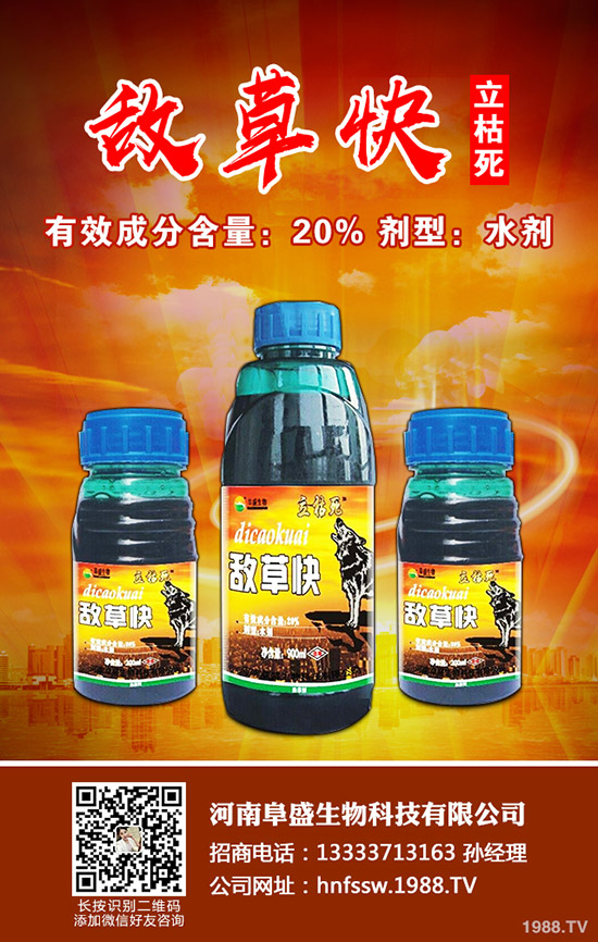 豆角徒長是什么原因，豆角徒長的解決方法