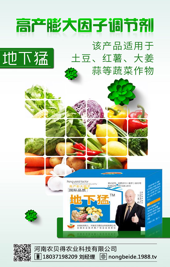 有機(jī)大白菜的種植要點(diǎn)您知道嗎?有機(jī)大白菜種植技術(shù)!