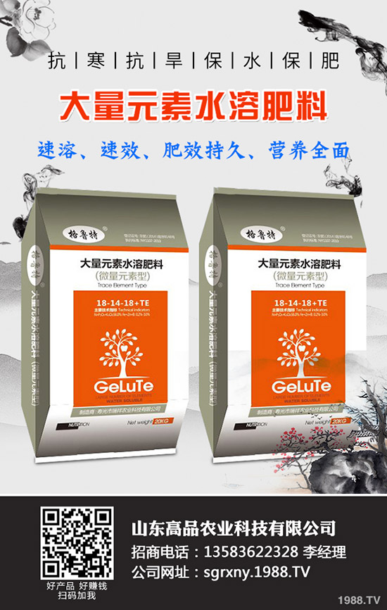 2019��11��12�ձ�������(gu��)��(n��i)⛷������߄�(sh��)�A(y��)�y(c��)��