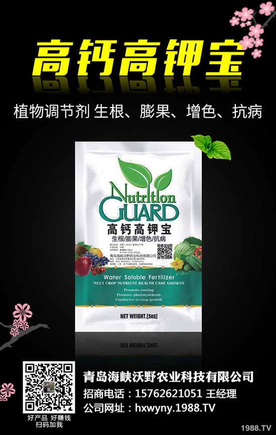 磷銨價(jià)格跌勢(shì)放緩!2019年11月12日國(guó)內(nèi)磷銨價(jià)格分析!