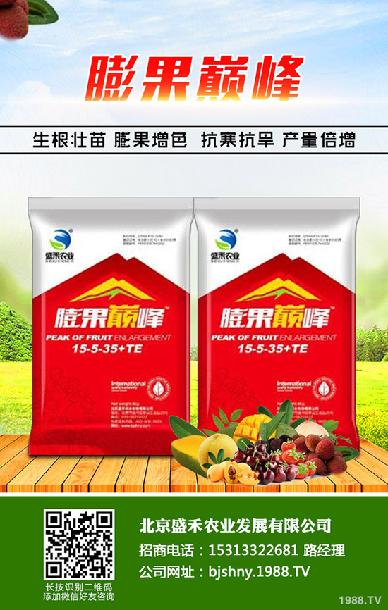 韭菜的種植時(shí)間是什么時(shí)候,韭菜的種植要點(diǎn)您了解嗎?