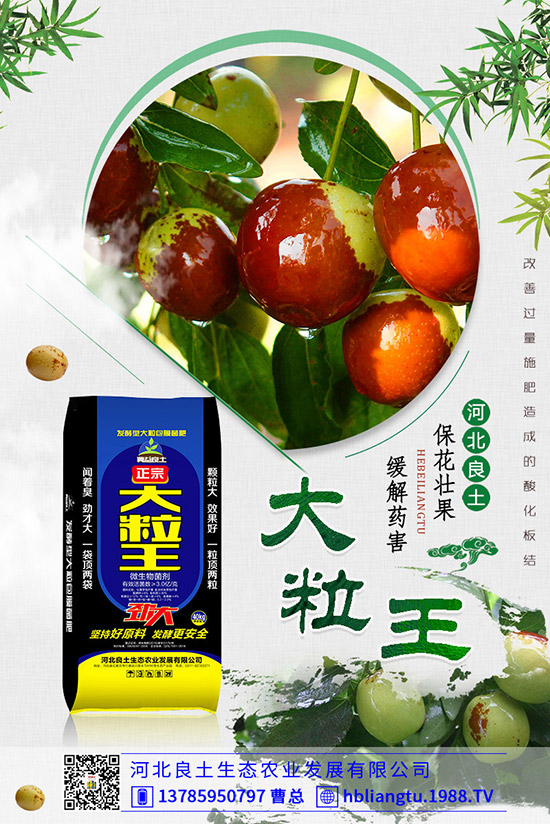 甜瓜落花落果原因有哪些?甜瓜如何提高座果率?