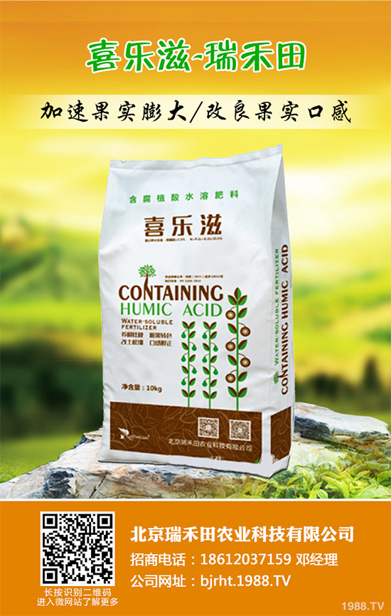 2019��11��12�ս��ո������؏S�҈�(b��o)�r(ji��)�^�m(x��)�µ������غ����A(y��)�y��